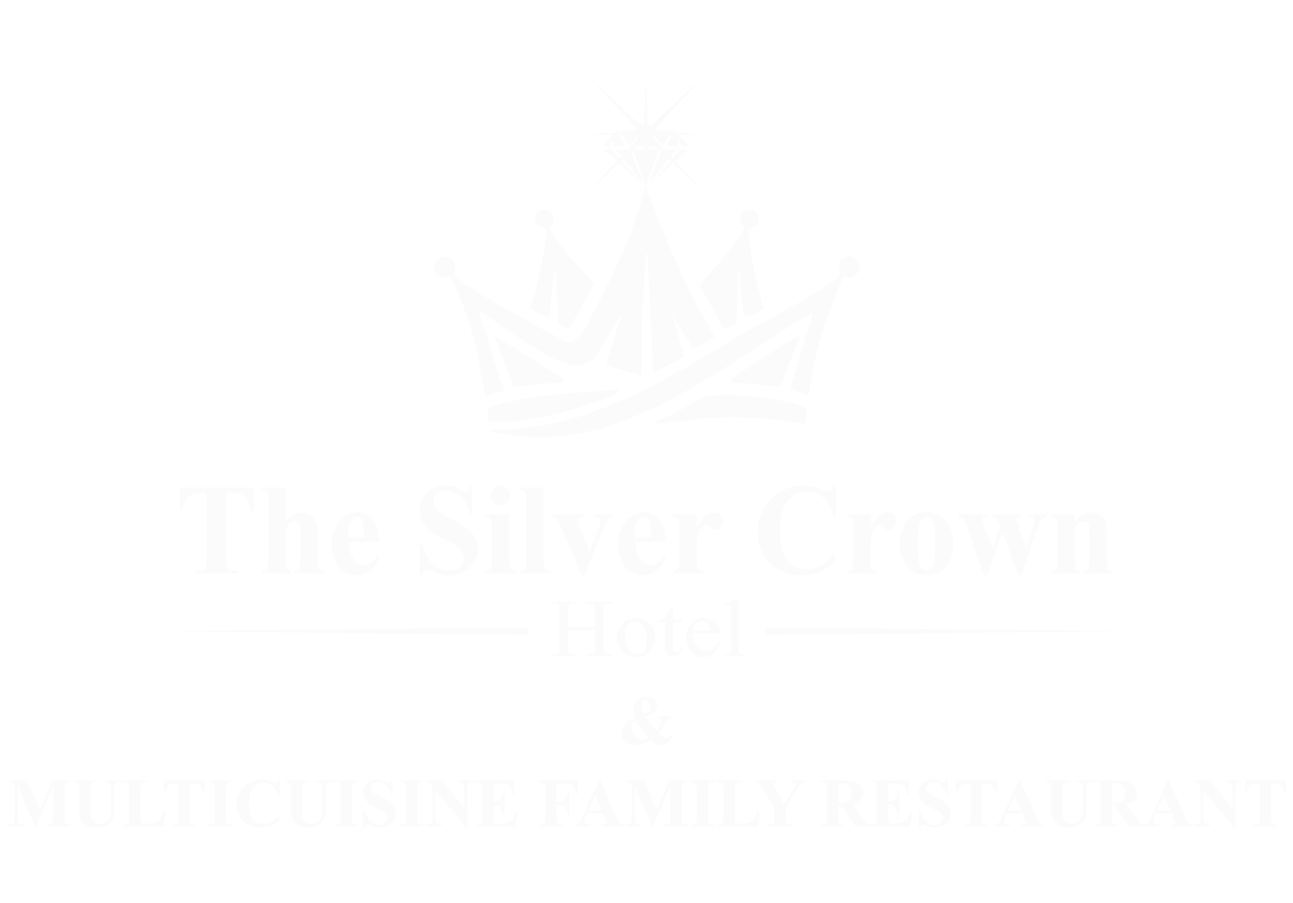 The Silver Crown